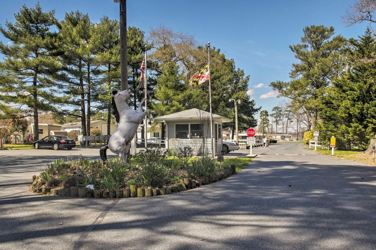 Dog-Friendly Ocean Pines Home With Pool Access! Berlin Esterno foto